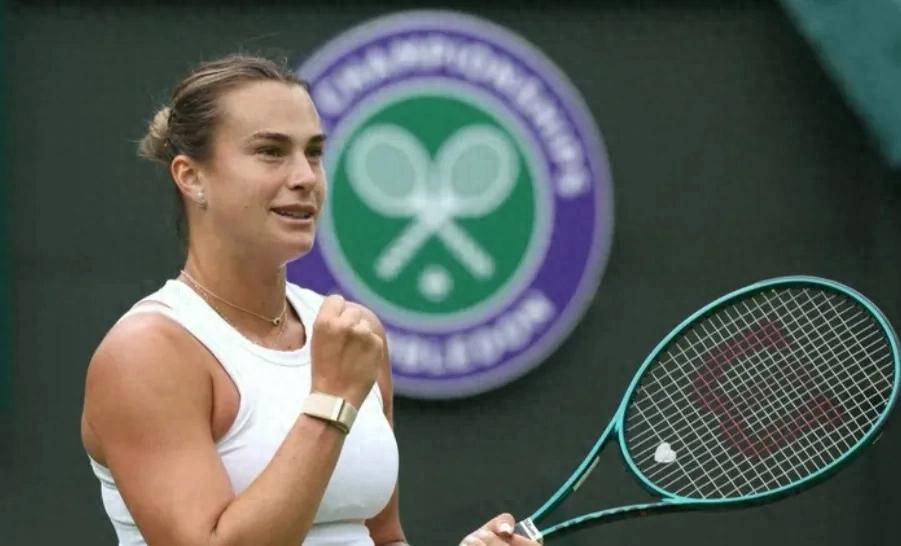 助理裁判 助理裁判