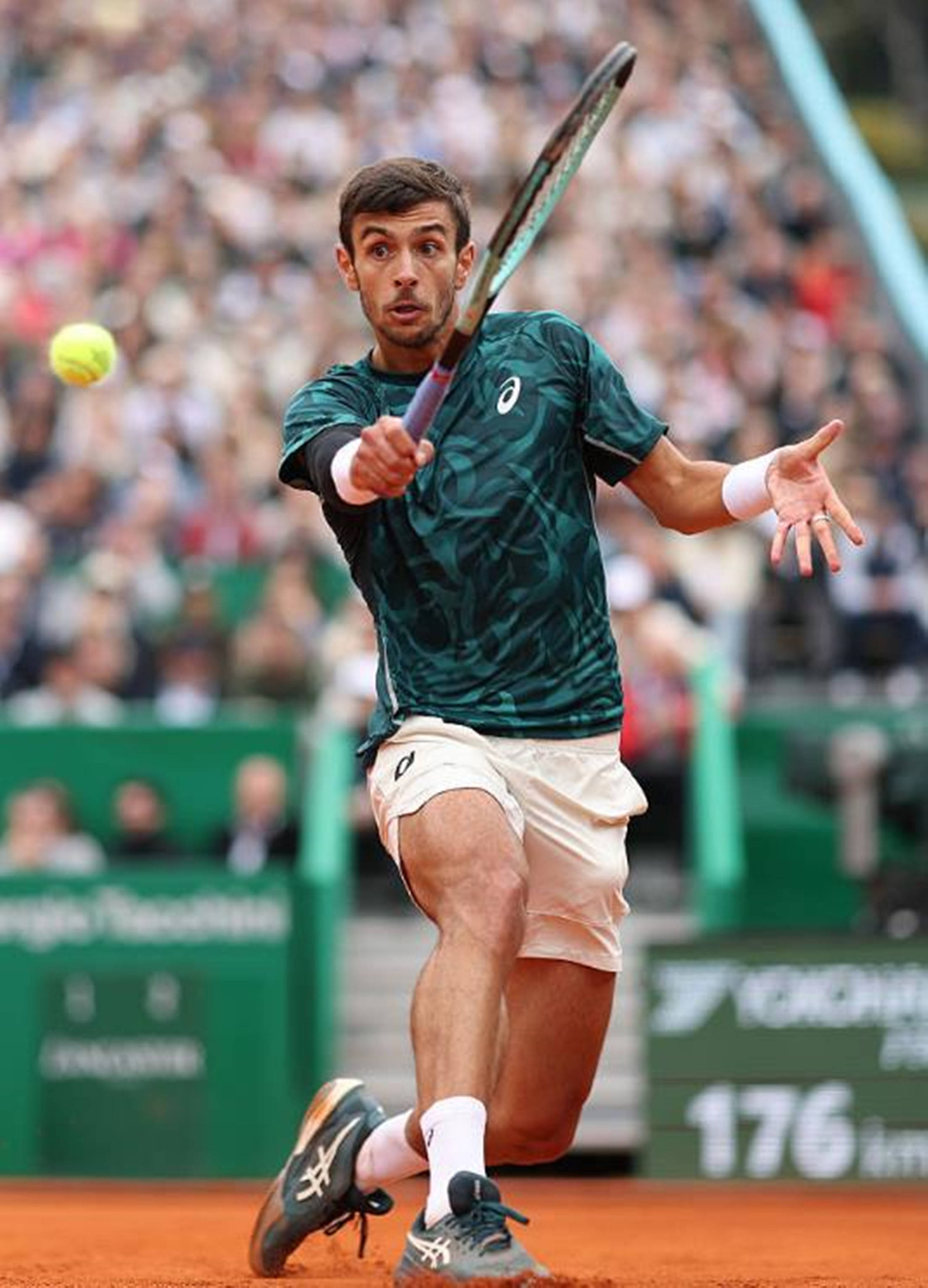 或俱乐部的 或俱乐部的